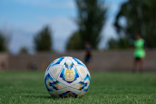 fantasy football league example